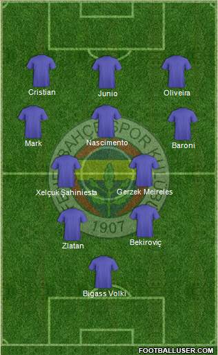 Fenerbahçe SK Formation 2013
