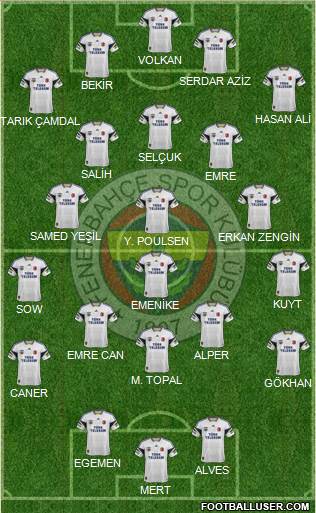 Fenerbahçe SK Formation 2013