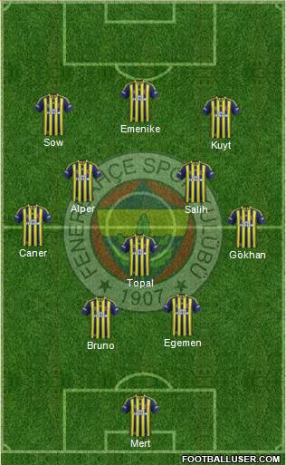Fenerbahçe SK Formation 2013
