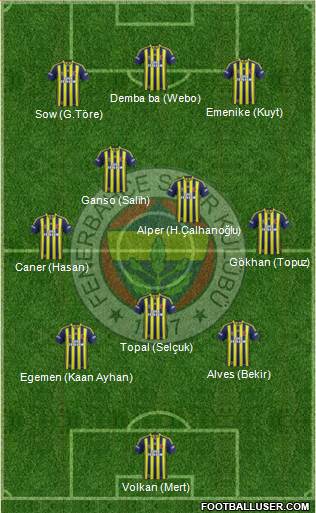 Fenerbahçe SK Formation 2013