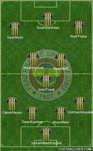 Fenerbahçe SK Formation 2013