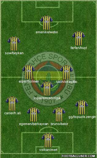 Fenerbahçe SK Formation 2013