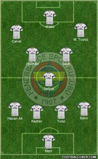 Fenerbahçe SK Formation 2013