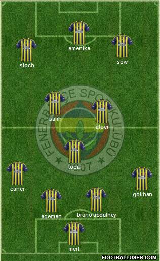 Fenerbahçe SK Formation 2013