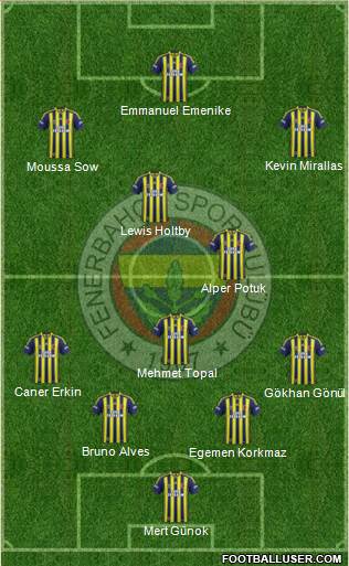 Fenerbahçe SK Formation 2013
