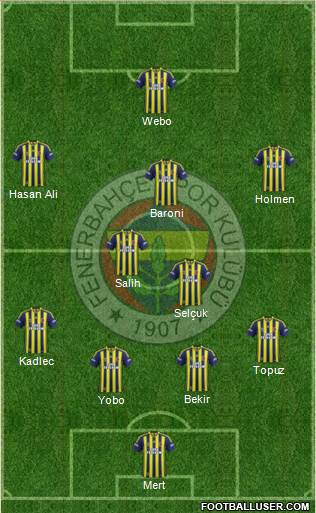 Fenerbahçe SK Formation 2013