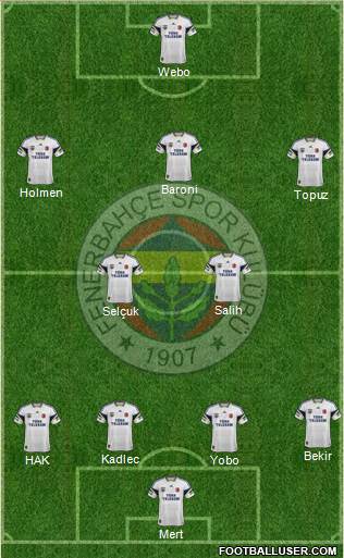 Fenerbahçe SK Formation 2013