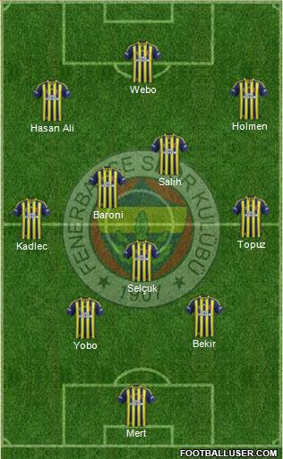 Fenerbahçe SK Formation 2013