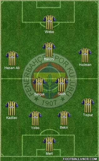 Fenerbahçe SK Formation 2013