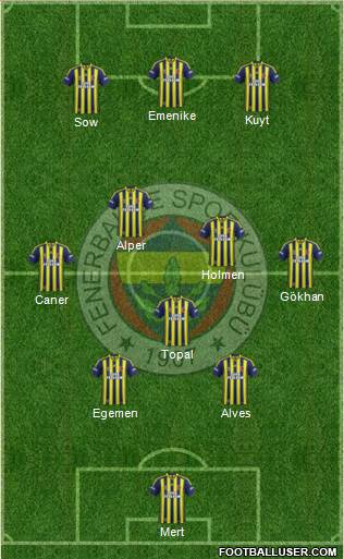 Fenerbahçe SK Formation 2013
