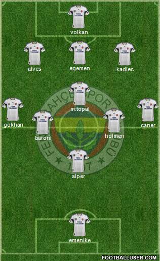 Fenerbahçe SK Formation 2013