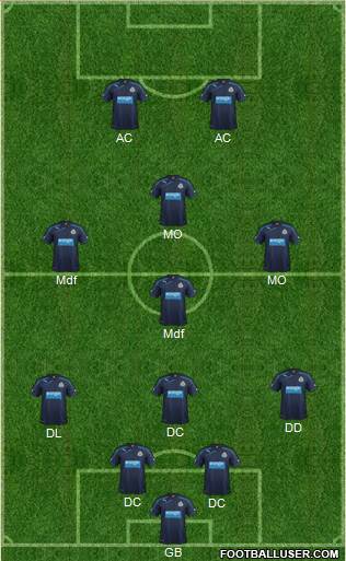 Newcastle United Formation 2013