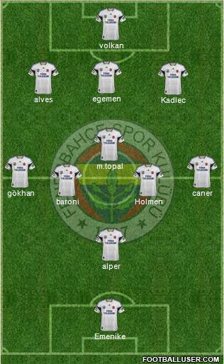 Fenerbahçe SK Formation 2013