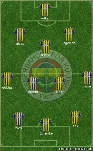 Fenerbahçe SK Formation 2013