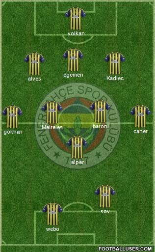 Fenerbahçe SK Formation 2013