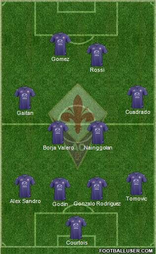 Fiorentina Formation 2013