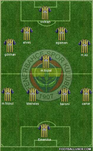 Fenerbahçe SK Formation 2013