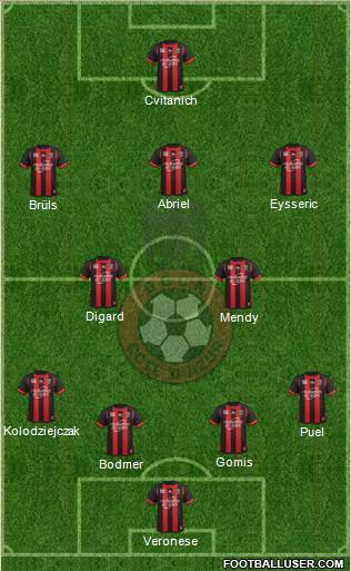 OGC Nice Côte d'Azur Formation 2013