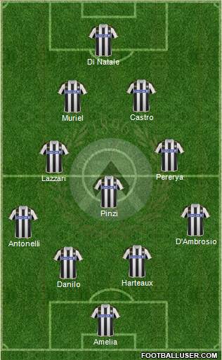 Udinese Formation 2013