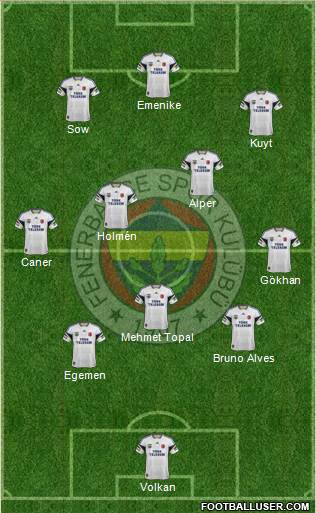 Fenerbahçe SK Formation 2013