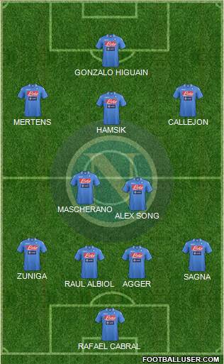 Napoli Formation 2013