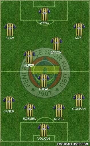 Fenerbahçe SK Formation 2013