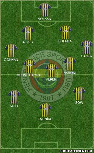 Fenerbahçe SK Formation 2013