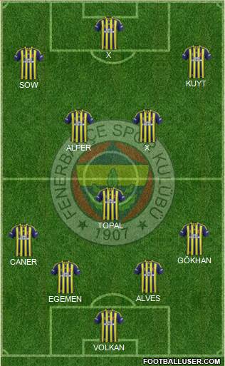 Fenerbahçe SK Formation 2013