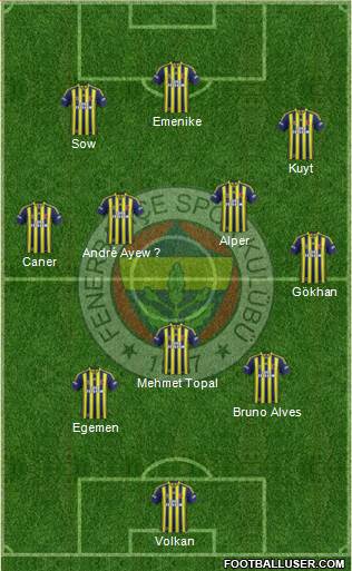 Fenerbahçe SK Formation 2013