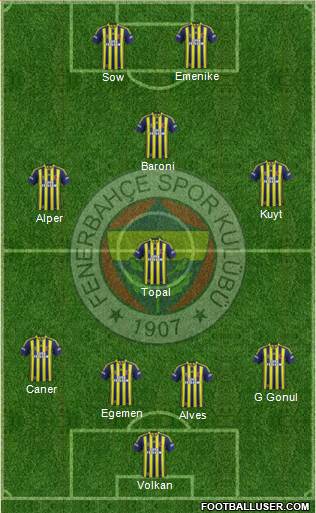 Fenerbahçe SK Formation 2013
