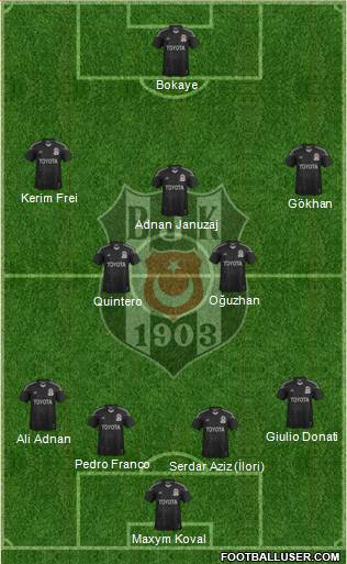 Besiktas JK Formation 2013