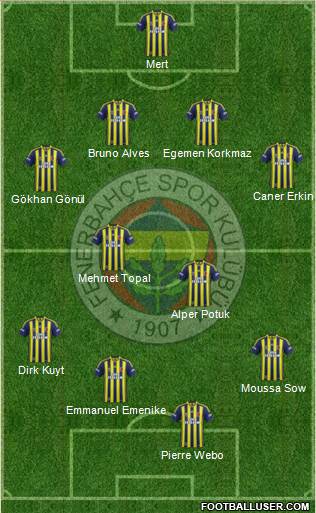 Fenerbahçe SK Formation 2013
