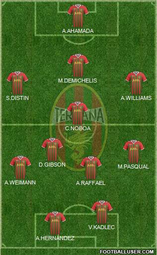 Ternana Formation 2013