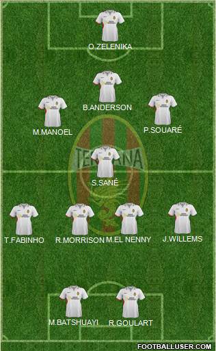 Ternana Formation 2013