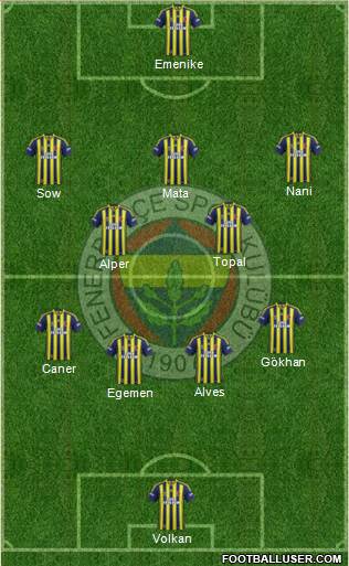 Fenerbahçe SK Formation 2013