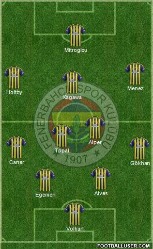 Fenerbahçe SK Formation 2013