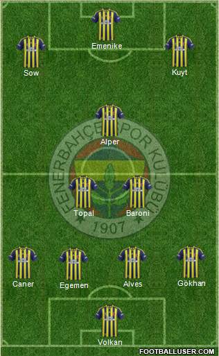 Fenerbahçe SK Formation 2013
