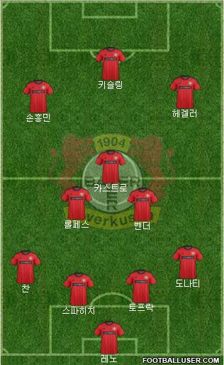 Bayer 04 Leverkusen Formation 2013