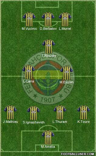 Fenerbahçe SK Formation 2013