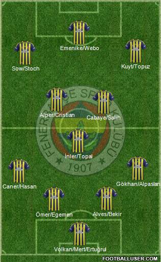 Fenerbahçe SK Formation 2013