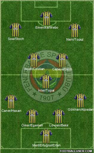 Fenerbahçe SK Formation 2013