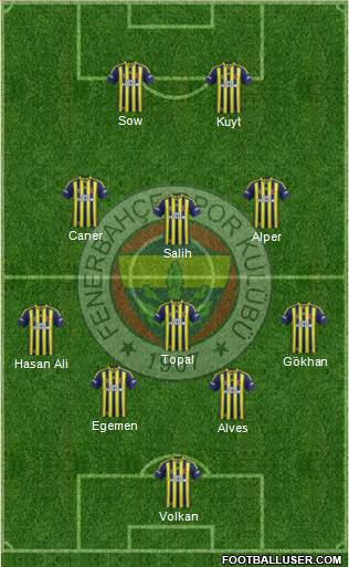 Fenerbahçe SK Formation 2013
