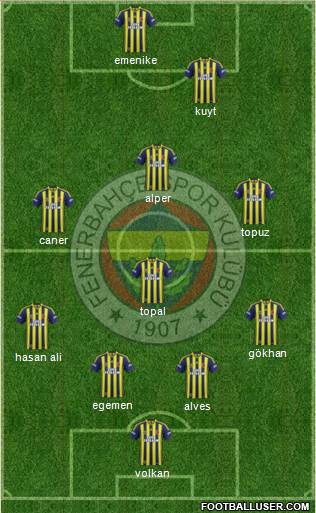 Fenerbahçe SK Formation 2013