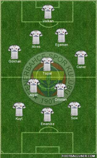 Fenerbahçe SK Formation 2013