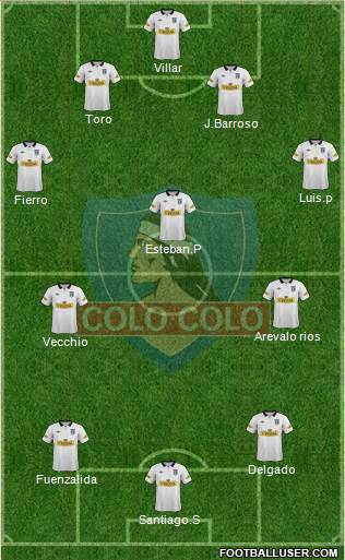 CSD Colo Colo Formation 2013