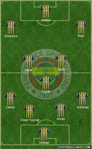 Fenerbahçe SK Formation 2013