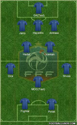 France Formation 2013