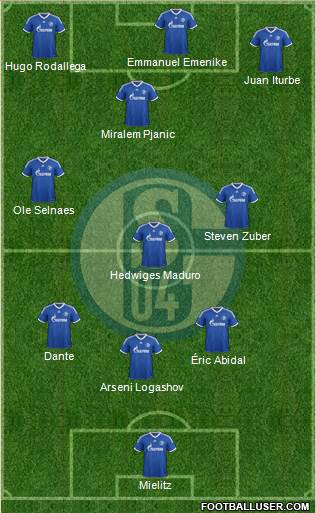 FC Schalke 04 Formation 2013