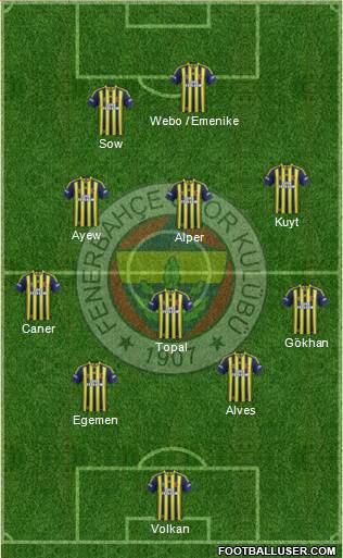 Fenerbahçe SK Formation 2013