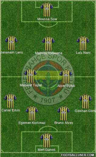 Fenerbahçe SK Formation 2013